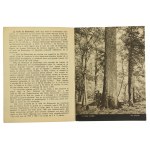 Bialowieza, Pologne, advertising folder, Second Republic (833)