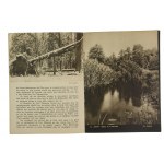 Bialowieza, Pologne, advertising folder, Second Republic (833)
