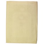 Tymczasowa Rada Stanu, dyplom pamiątkowy, 1917 (795)