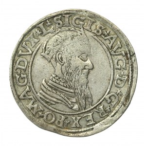 Zygmunt II August, Czworak 1566, Wilno - L/LI. Rzadsze (900)