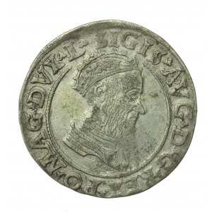 Sigismund II Augustus, Foursquare 1569, Vilnius - L/LITVA (903)