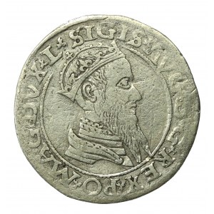 Zygmunt II August, Czworak 1565, Wilno, L/LITV (910)