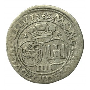 Zygmunt II August, Czworak 1565, Wilno, L/LITV (910)