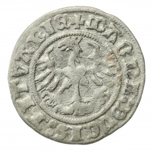 Zygmunt I Stary, Półgrosz 1511, Wilno (703)