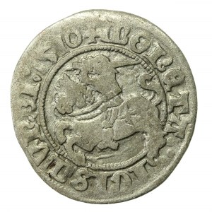 Zygmunt I Stary, Półgrosz 1510, Wilno. Dwukropek przed datą (704)