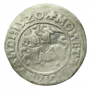 Zygmunt I Stary, półgrosz 1520, Wilno, SIGISMVANDI - odwrócone N (716)