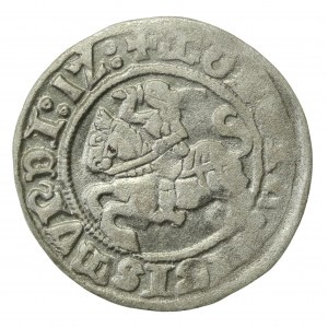 Zygmunt I Stary, Półgrosz 1512, Wilno (717)
