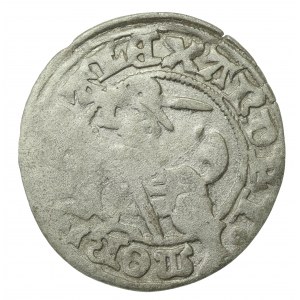 Aleksander Jagiellończyk, półgrosz, Wilno - gotyk (720)