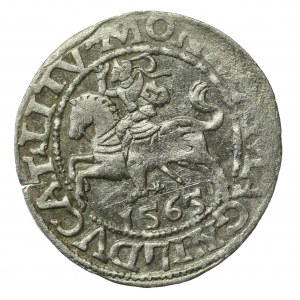 Zygmunt II August, Półgrosz 1565, Wilno - L/LITV. (722)