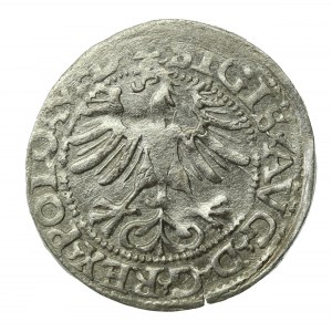 Zygmunt II August, Półgrosz 1565, Wilno - L/LITV. (722)