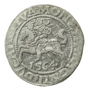 Zygmunt II August, Półgrosz 1564, Wilno - L/LITVA (724)