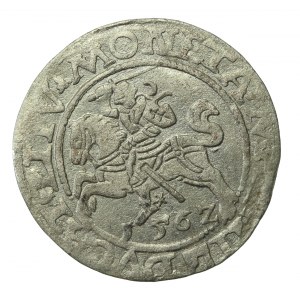 Sigismund II Augustus, Half-penny 1562 Vilnius, LI/LITV (725)