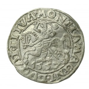 Zygmunt II August, Półgrosz 1557, Wilno, Behm - rzadki (727)