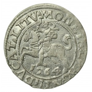 Zygmunt II August, Półgrosz 1564, Wilno - L/LITV (736)