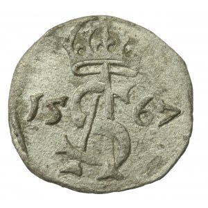 Sigismund II Augustus, dwudenar 1567, Vilnius (760)