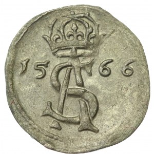 Zygmunt II August, Dwudenar 1566, Wilno (761)