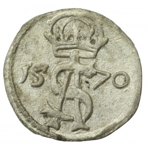 Zygmunt II August, Dwudenar 1570, Wilno(763)