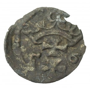 Žigmund II Augustus, denár 1556, Gdansk (769)