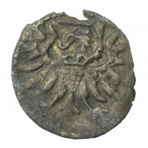 Žigmund II Augustus, denár 1556, Gdansk (769)