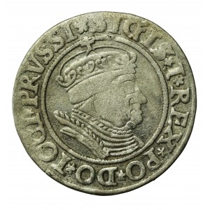 Zygmunt I Stary, grosz 1534, Toruń PRUSSI/PRUSSIE (528)