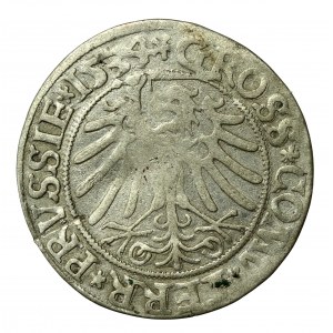 Zygmunt I Stary, grosz 1534, Toruń PRUSSI/PRUSSIE (528)