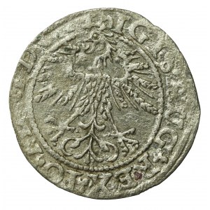 Žigmund II August, polgroš 1561, Vilnius - L/LITV(536)