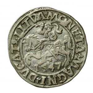 Zygmunt II August, Półgrosz 1547, Wilno - LI/LITVA (538)