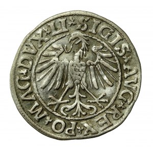 Zygmunt II August, Półgrosz 1547, Wilno - LI/LITVA (538)