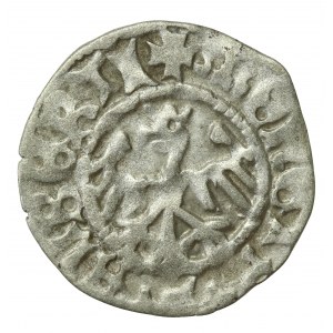 Jan I Olbracht, Półgrosz bez daty, Kraków (543).
