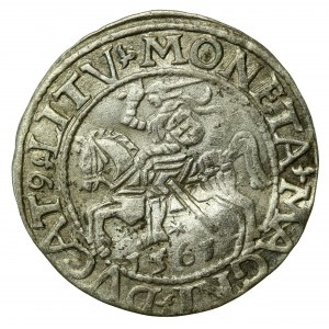 Zygmunt II August, Półgrosz 1561, Wilno - LI/LITV (544).