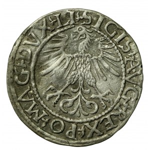 Zygmunt II August, Półgrosz 1561, Wilno - LI/LITV (544).