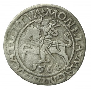 Zygmunt II August, Półgrosz 1564, Wilno - LI/LITVA (545)