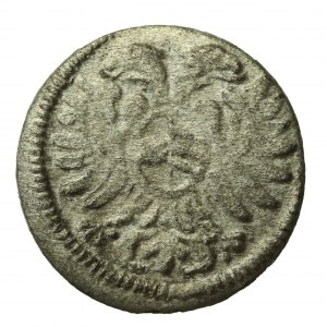 Śląsk, Leopold I, greszel, 1704, Opole (553)