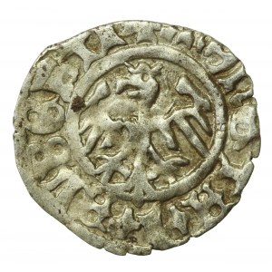 Jan I Olbracht, Półgrosz bez daty, Kraków (554)