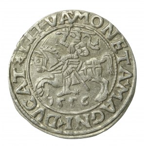 Zygmunt II August, Półgrosz 1556 Wilno, LI/LITVA (644)