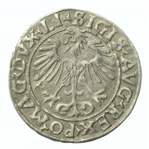 Zygmunt II August, Półgrosz 1556 Wilno, LI/LITVA (644)