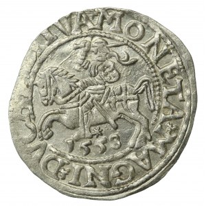 Zygmunt II August, Półgrosz 1558, Wilno - LI/LITVA (645)