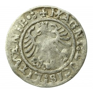 Zygmunt I Stary, Półgrosz 1519, Wilno. Przebitka na rew. LITV(A)(653)