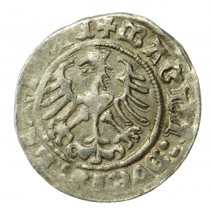 Zygmunt I Stary, Półgrosz 1513, Wilno (654)