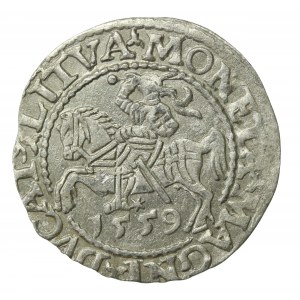 Zygmunt II August, Półgrosz 1559, Wilno - LI/LITVA (656)