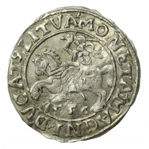 Zygmunt II August, Półgrosz 1556 Wilno, LI/LITVA (666)
