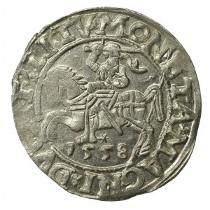 Sigismond II Auguste, demi-penny 1558, Vilnius - L/LITV(667)