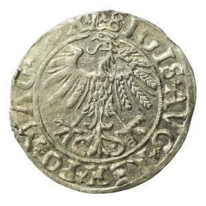 Sigismond II Auguste, demi-penny 1558, Vilnius - L/LITV(667)