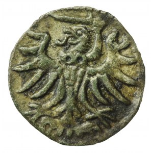 Zygmunt II August, Denar 1555, Elbląg (670)