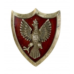 Badge of the Union of Military Poles in Russia (816)