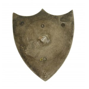 Badge of the Union of Military Poles in Russia (816)