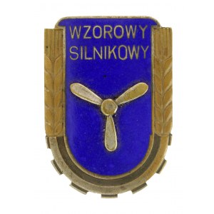 People's Republic of Poland, Model Engine Badge Model 1951. Large (552)