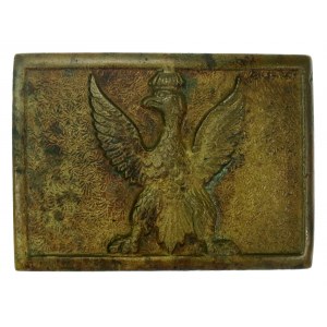 Klamra polskich organizacji patriotycznych w Ameryce XIX / XX w. (879)