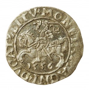Zygmunt II August, Półgrosz 1556 Wilno, LI/LITV (919)