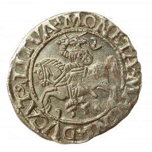 Zygmunt II August, Półgrosz 1558, Wilno - LI/LITVA (926)